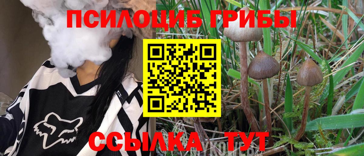 Галлюциногенные грибы мицелий  Вход с VPN  Галлюциногенные грибы мицелий  Родники 
